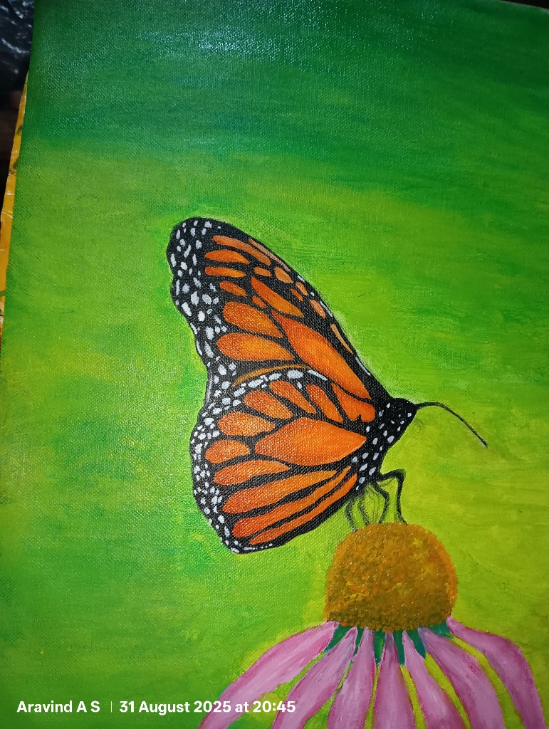 Butterfly on Flower - Nature's Beauty