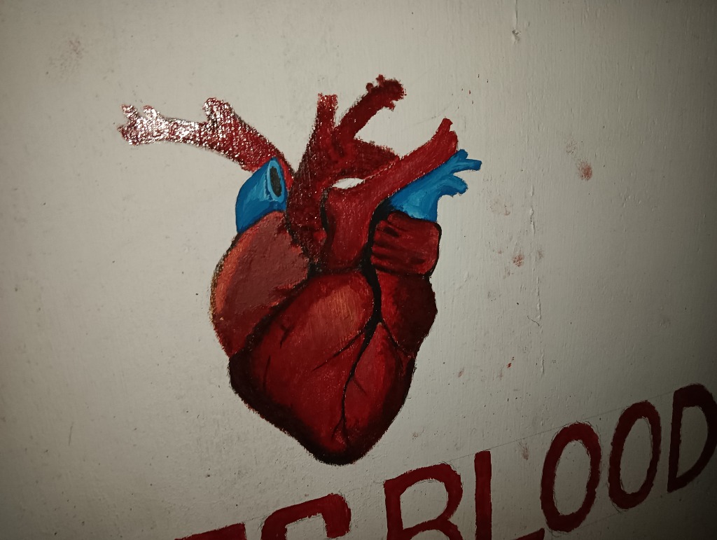 Anatomical Heart - Life and Blood